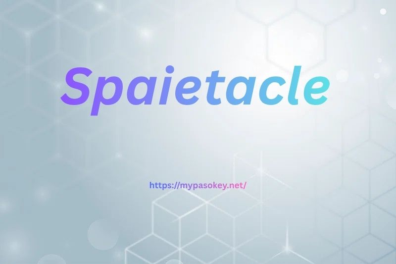 Core Components That Shape a Spaietacle