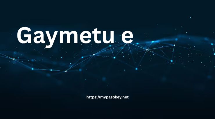 Applications, Technology Integration, and Community Impact of Gaymetu E