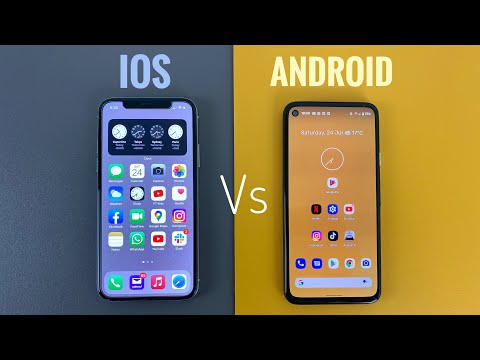 Market Share and Global Popularity