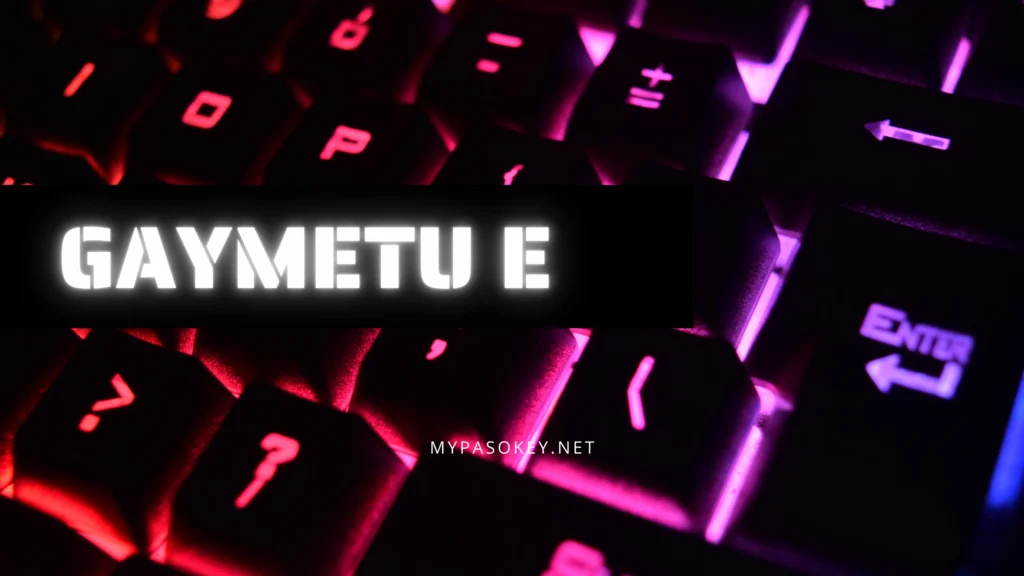What Is Gaymetu E? Pro Guide
