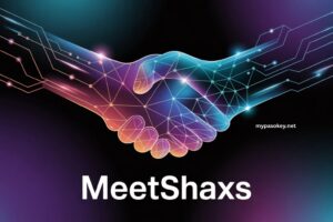 Improve Software Meetshaxs | Performance & Optimization